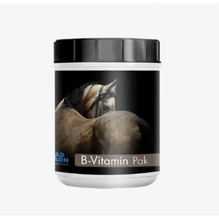 B-Vitamin Pak 1kg