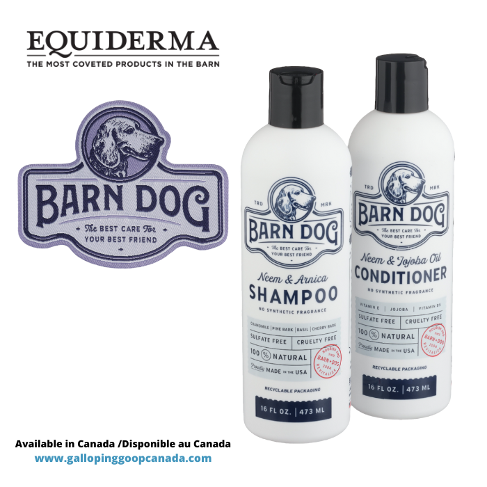 525 -Duo Equiderma Barn Dog Shampoo & Conditioner 16oz 