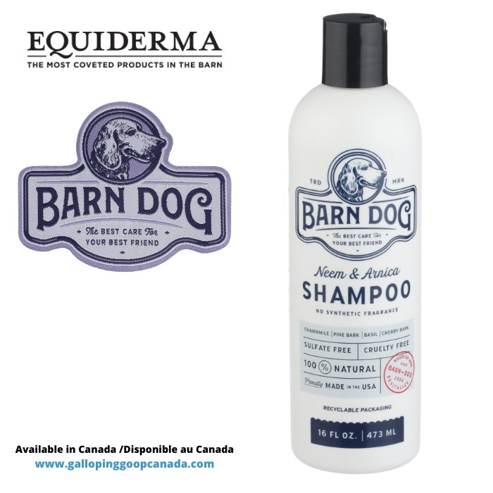 522 - Barn Dog Shampoo 16oz