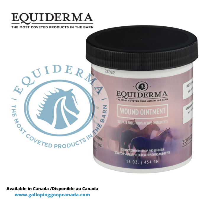 503 - Equiderma Wound Ointment